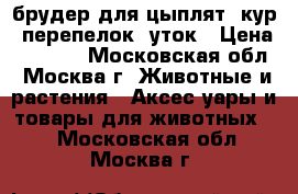 брудер для цыплят, кур, перепелок, уток › Цена ­ 5 000 - Московская обл., Москва г. Животные и растения » Аксесcуары и товары для животных   . Московская обл.,Москва г.